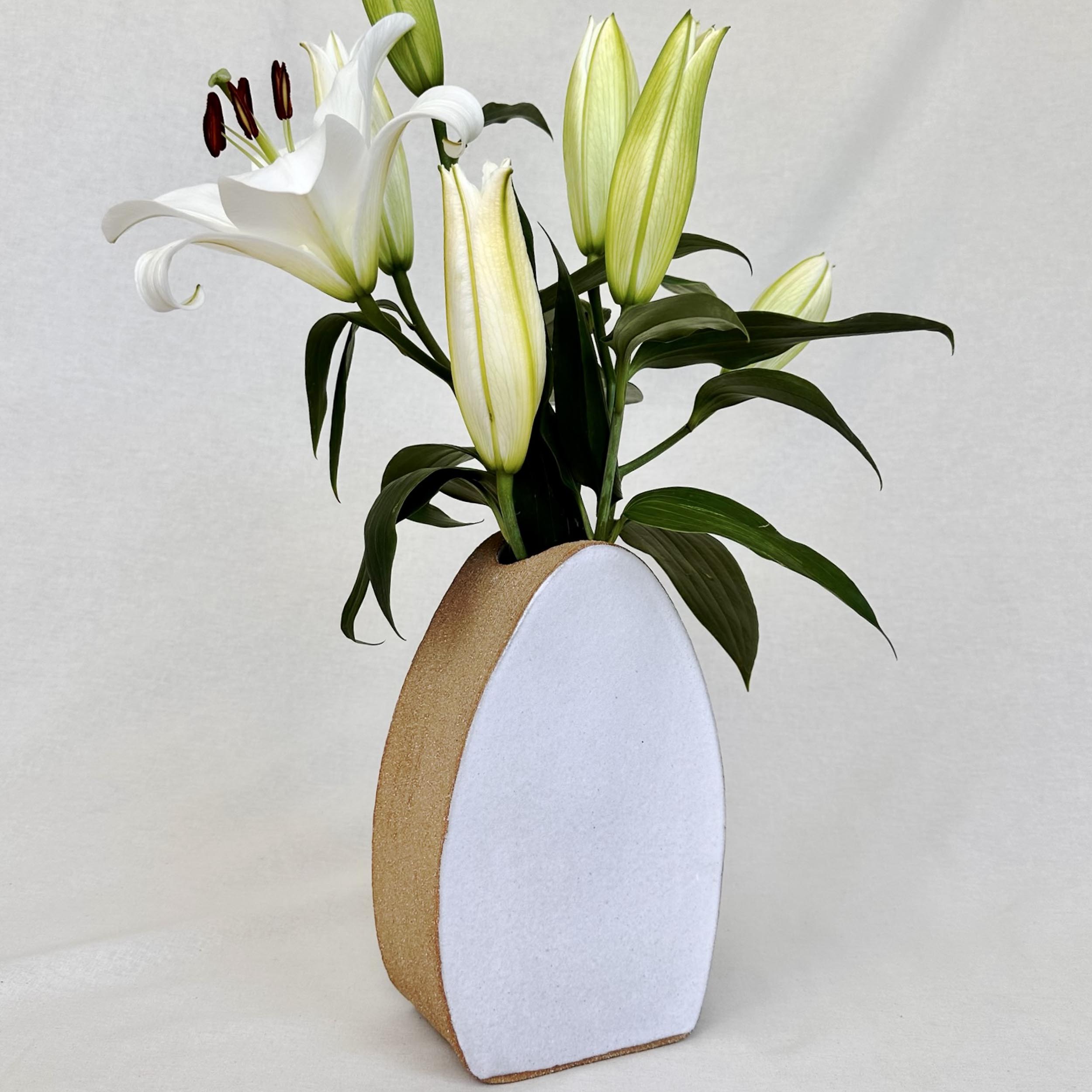 Large Flower Vase - Pebble Shape