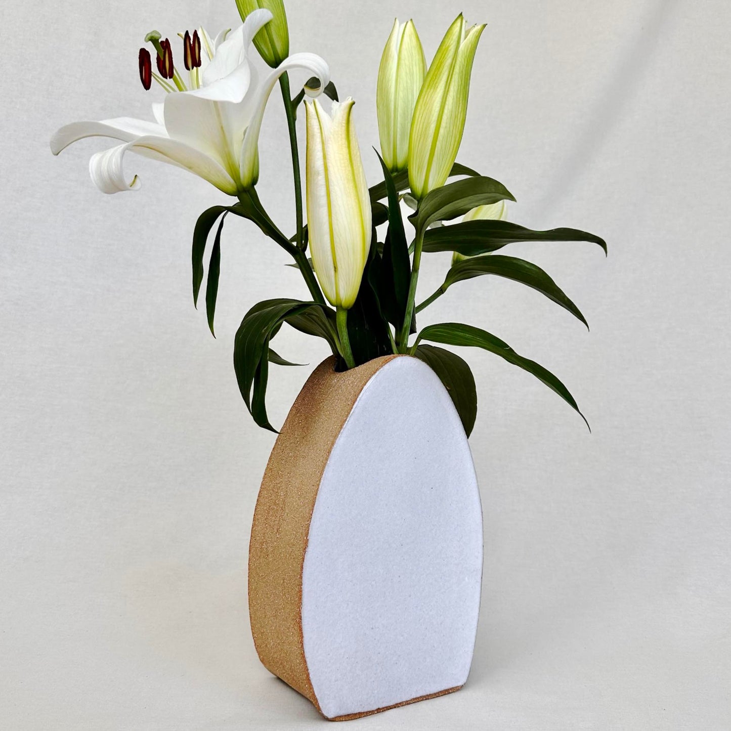 Large Flower Vase - Pebble Shape