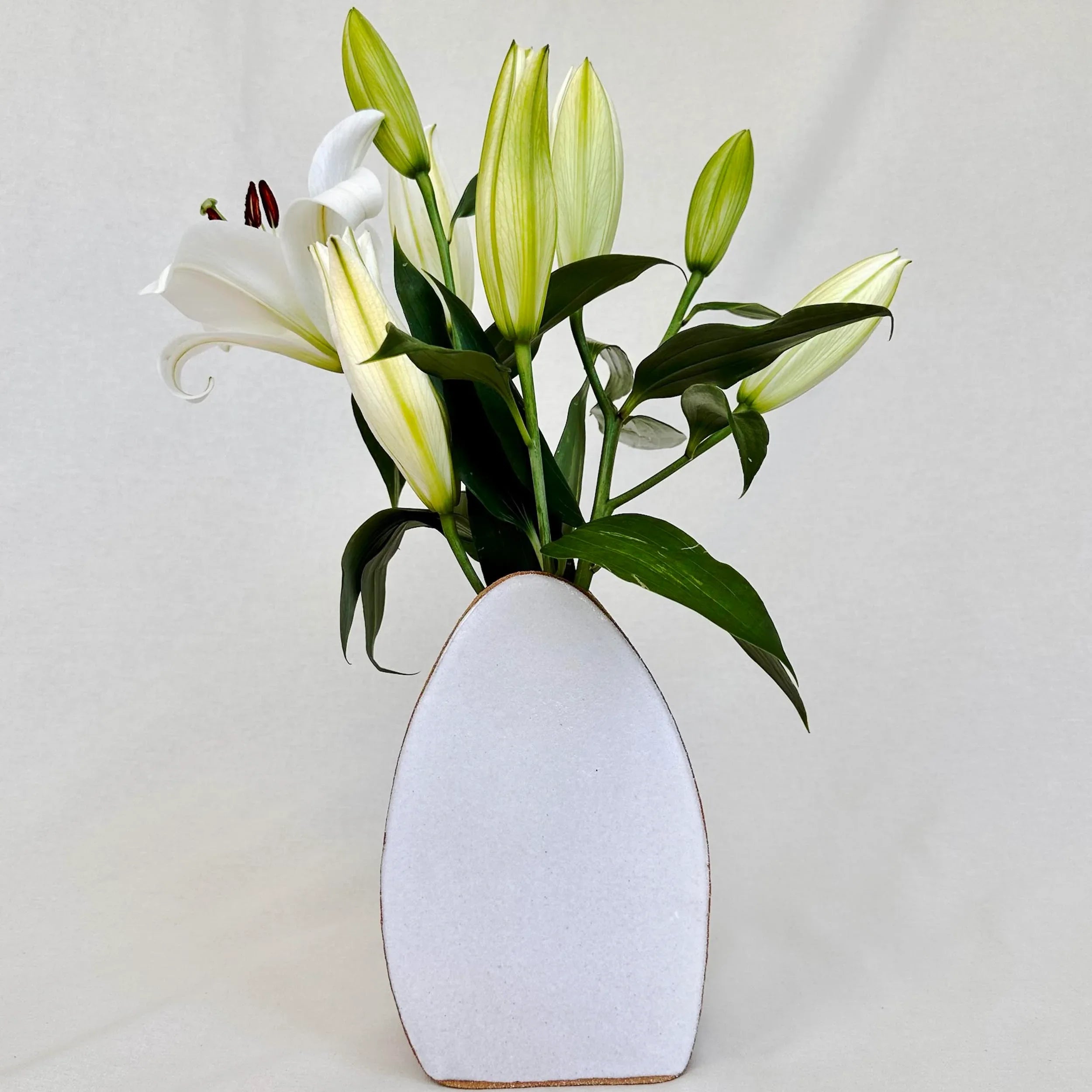 Large Flower Vase - Pebble Shape